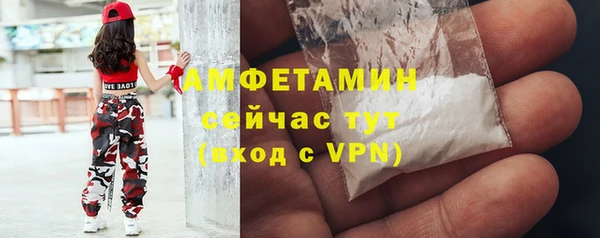 ECSTASY Богданович