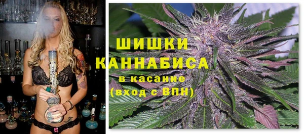 ECSTASY Богданович