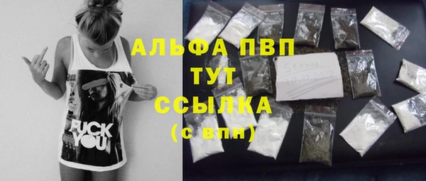 ECSTASY Богданович