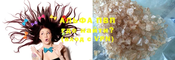 ECSTASY Богданович