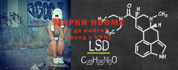 ECSTASY Богданович