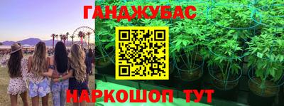 сатива Тверь