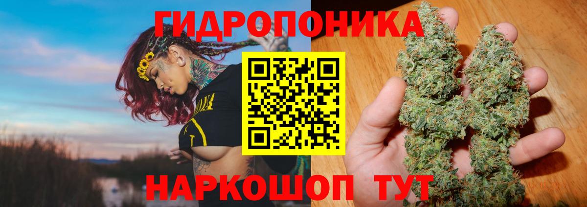 Конопля Amnesia  Шишки марихуана AK-47  Наро-Фоминск  Вход с VPN  Бошки Шишки сатива 